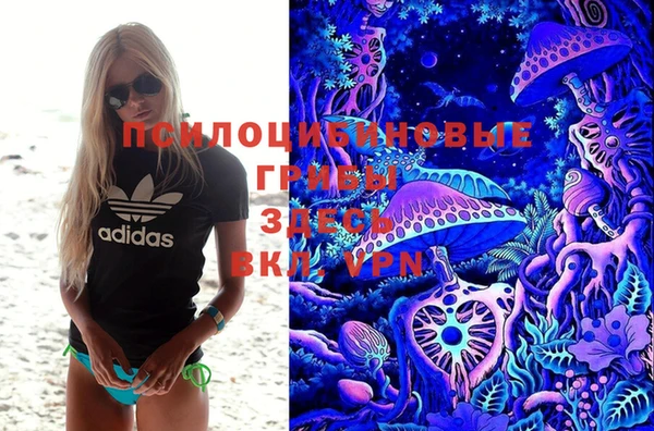 ECSTASY Аркадак