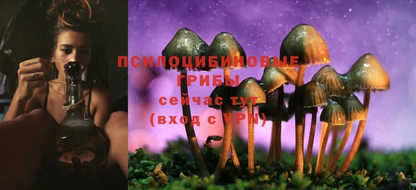 СК Арсеньев